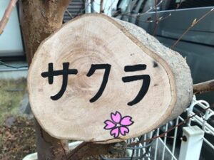 桜の樹名板